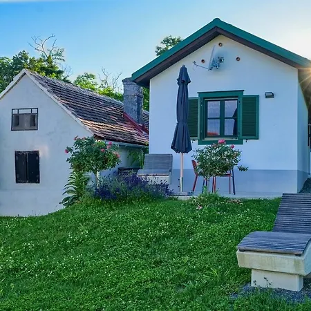 Kellerstoeckl Am Berg Villa Eisenberg an der Pinka Exterior photo